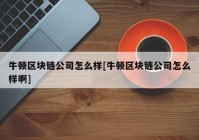 牛顿区块链公司怎么样[牛顿区块链公司怎么样啊]